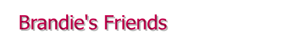 Brandie's Friends