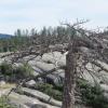 Lake Basin, Backcountry, Big Bald Rock