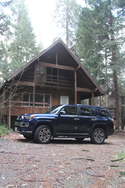 cabin1.jpg